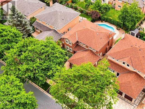 17 Black Cherry Drive, Markham, ON - Outdoor With In Ground Pool