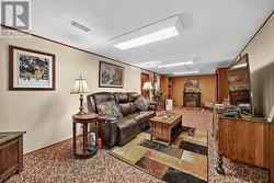 Family Room in lower level - 