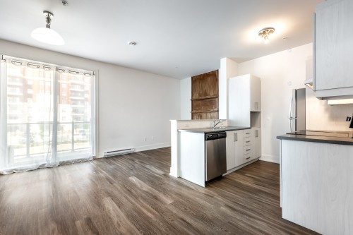 Salon - 207-7085 Rue De Lunan, Brossard, QC - Indoor Photo Showing Kitchen