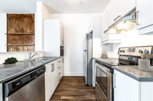 Cuisine - 207-7085 Rue De Lunan, Brossard, QC - Indoor Photo Showing Kitchen