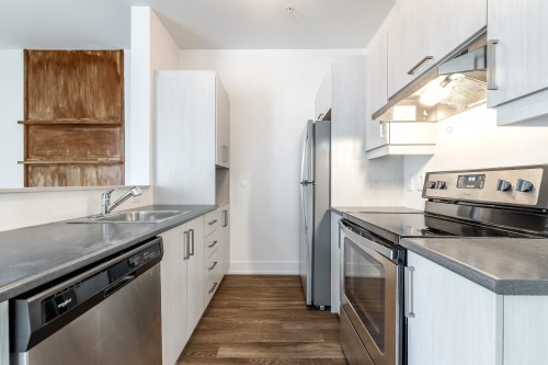 Cuisine - 207-7085 Rue De Lunan, Brossard, QC - Indoor Photo Showing Kitchen