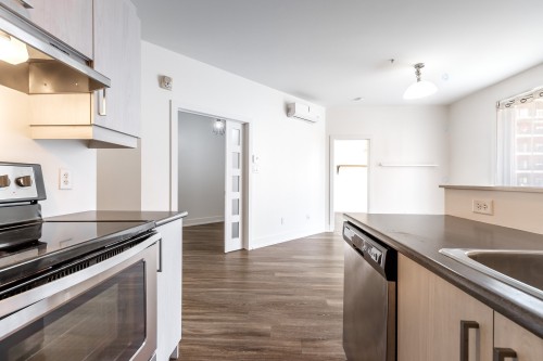 Cuisine - 207-7085 Rue De Lunan, Brossard, QC - Indoor Photo Showing Kitchen