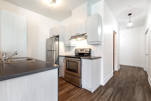 Cuisine - 207-7085 Rue De Lunan, Brossard, QC - Indoor Photo Showing Kitchen With Double Sink