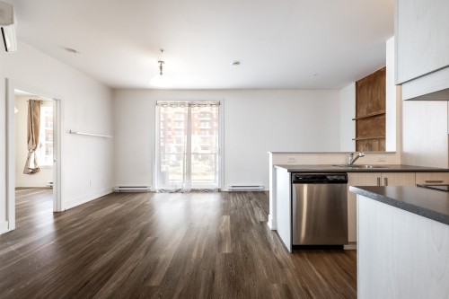 Vue d'ensemble - 207-7085 Rue De Lunan, Brossard, QC - Indoor Photo Showing Kitchen With Double Sink