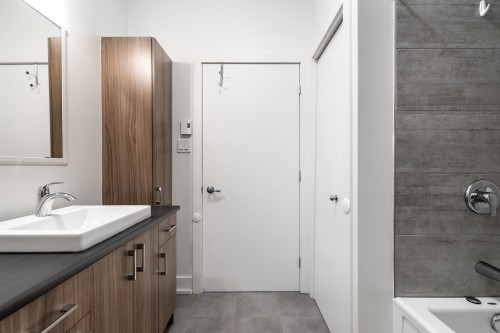 Salle de bains - 207-7085 Rue De Lunan, Brossard, QC - Indoor Photo Showing Bathroom