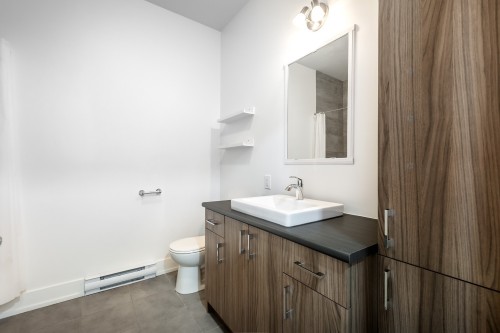 Salle de bains - 207-7085 Rue De Lunan, Brossard, QC - Indoor Photo Showing Bathroom