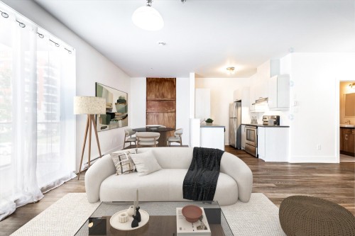 Salon - 207-7085 Rue De Lunan, Brossard, QC - Indoor Photo Showing Living Room