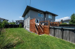 Garden - 