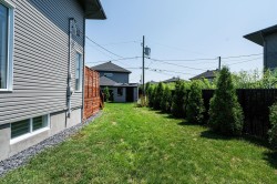 Garden - 
