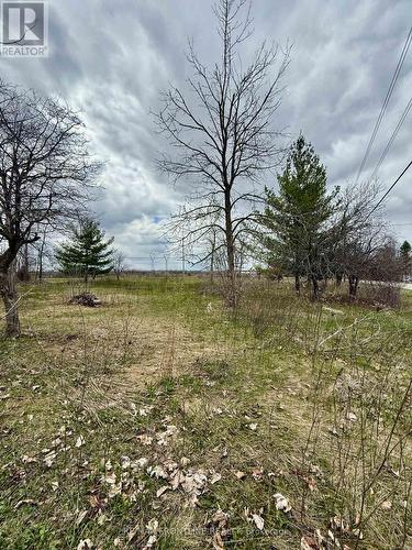 8 Morningside Drive, Rideau Lakes, ON 