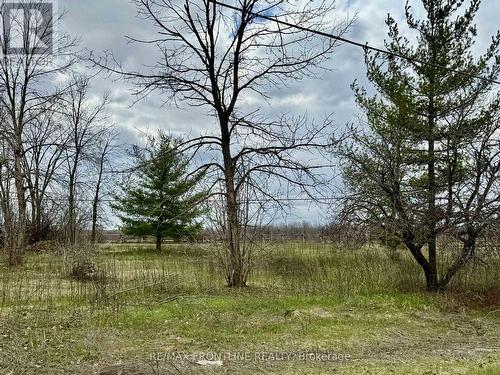 8 Morningside Drive, Rideau Lakes, ON 