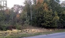 0 COUNTY RD 6 ROAD Stone Mills (Stone Mills), ON K0K 3N0