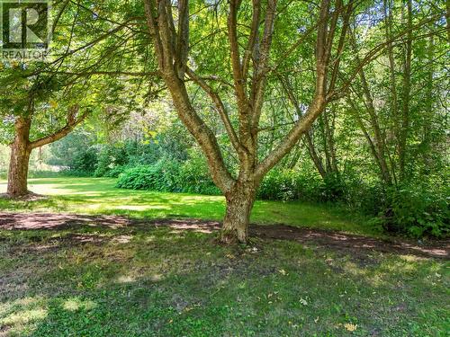 3482 Kirkham Road, Quesnel, BC - Outdoor