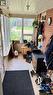 1409 3Rd Street, Estevan, SK  -  Photo Showing Other Room 