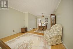 Designer Ceiling - 
