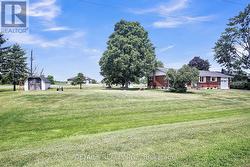 Large lot. - 