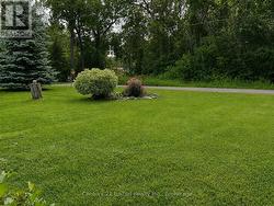 Front Yard Perennial Gardens - 