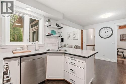 318 10Th Concession Road E, Freelton, ON - Indoor Photo Showing Kitchen With Double Sink