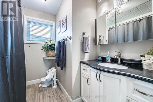 2 Maitland Avenue, Hamilton, ON - Indoor Photo Showing Bathroom