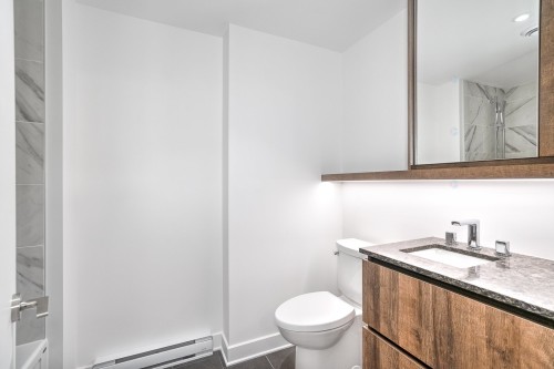 Bathroom - 516-170 Rue Rioux, Montréal (Le Sud-Ouest), QC - Indoor Photo Showing Bathroom