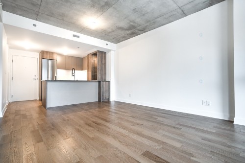 Living Room - 516-170 Rue Rioux, Montréal (Le Sud-Ouest), QC - Indoor Photo Showing Kitchen