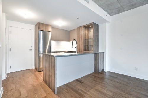 Kitchen - 516-170 Rue Rioux, Montréal (Le Sud-Ouest), QC - Indoor Photo Showing Kitchen