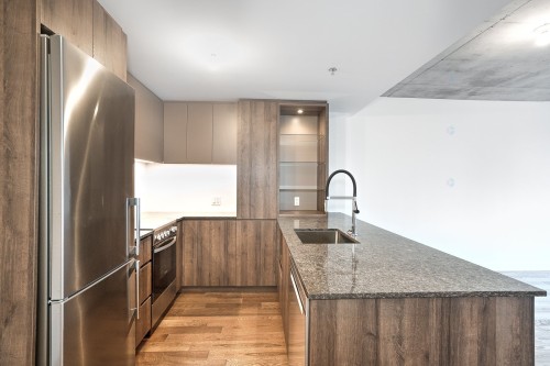 Kitchen - 516-170 Rue Rioux, Montréal (Le Sud-Ouest), QC - Indoor Photo Showing Kitchen With Upgraded Kitchen