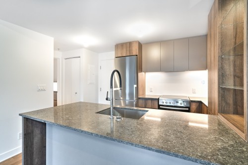 Kitchen - 516-170 Rue Rioux, Montréal (Le Sud-Ouest), QC - Indoor Photo Showing Kitchen With Upgraded Kitchen