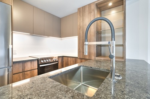 Kitchen - 516-170 Rue Rioux, Montréal (Le Sud-Ouest), QC - Indoor Photo Showing Kitchen With Upgraded Kitchen
