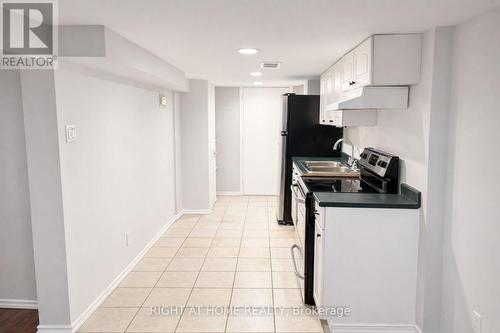 317 Queen Street S, Hamilton, ON - Indoor Photo Showing Kitchen With Double Sink