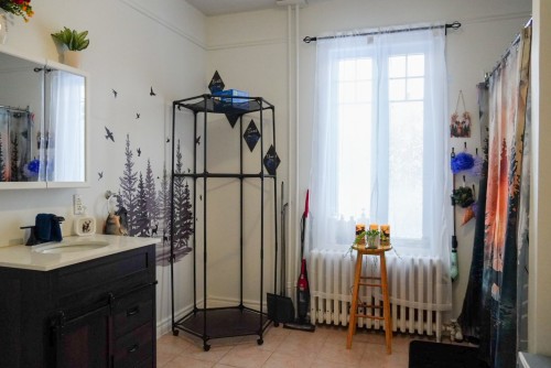 Salle de bains - 97  - 99 7E Avenue, Shawinigan, QC - Indoor Photo Showing Other Room