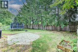 Spacious backyard featuring a stone patio, mature evergreen trees, and a raised garden bed - 