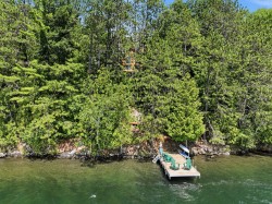 Bord de l'eau - 