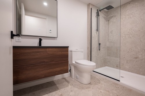 Salle de bains - 2569 Rue Sherbrooke E., Montréal (Le Plateau-Mont-Royal), QC - Indoor Photo Showing Bathroom