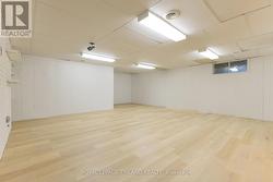 Lower level large family room area - 