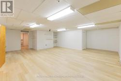 Lower level large family room area - 