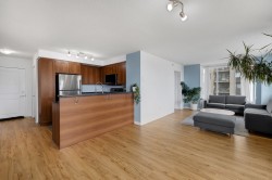 Kitchen - 