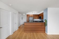 Kitchen - 