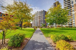 Garden - 
