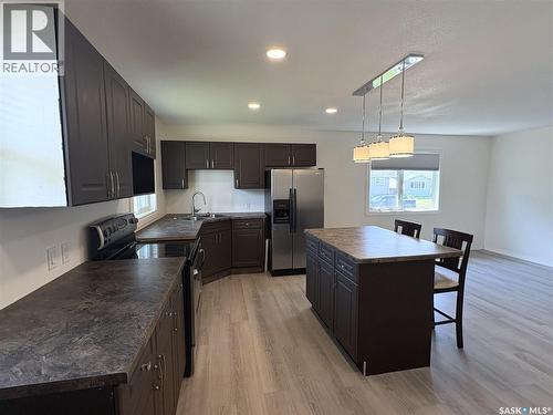 27 Calvert Crescent, Lanigan, SK - Indoor Photo Showing Kitchen With Double Sink