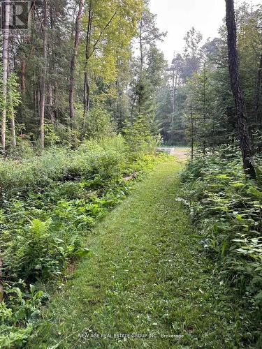 9031 Sideroad 17, Erin, ON - Outdoor
