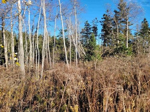 Bona Road, Lower L'Ardoise, NS 