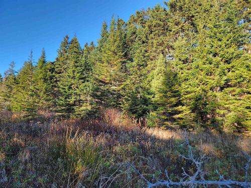 Bona Road, Lower L'Ardoise, NS 