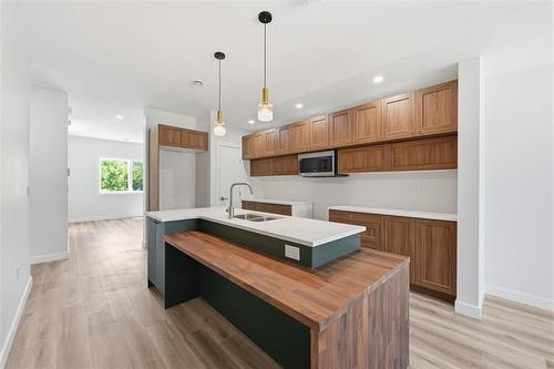 369 Berry St, Winnipeg, MB - Indoor Photo Showing Kitchen With Double Sink