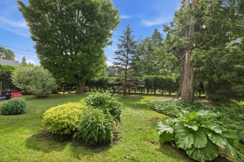 Terre/Terrain - 29 Av. Turcot, Saint-Sauveur, QC - Outdoor
