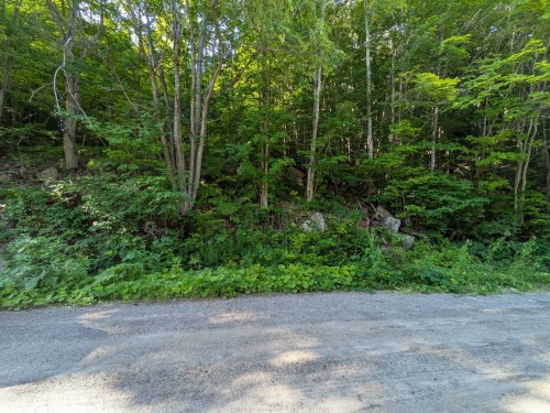 Vue d'ensemble - Ch. Des Bouleaux, Saint-Adolphe-D'Howard, QC 
