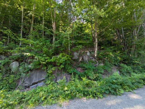 Vue d'ensemble - Ch. Des Bouleaux, Saint-Adolphe-D'Howard, QC 