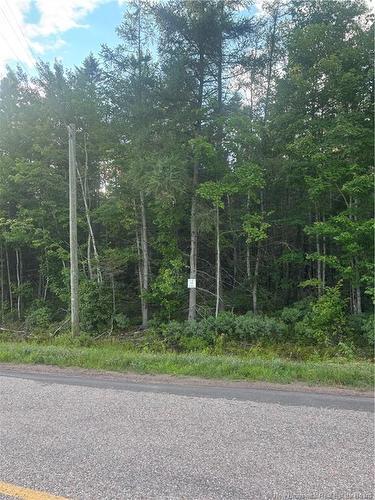 Lot 26-2 Upper Midland Rd, Springfield, NB - Outdoor With View