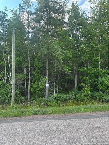 Lot 26-2 Upper Midland Rd, Springfield, NB - Outdoor
