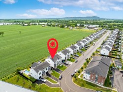 Aerial View - 